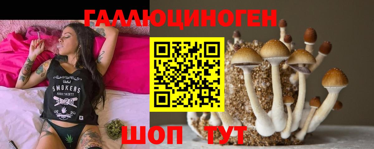 Ачхой-Мартан  Галлюциногенные грибы прущие грибы  Вход с VPN 